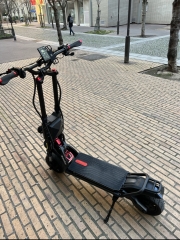 Kaabo wolf king gt pro